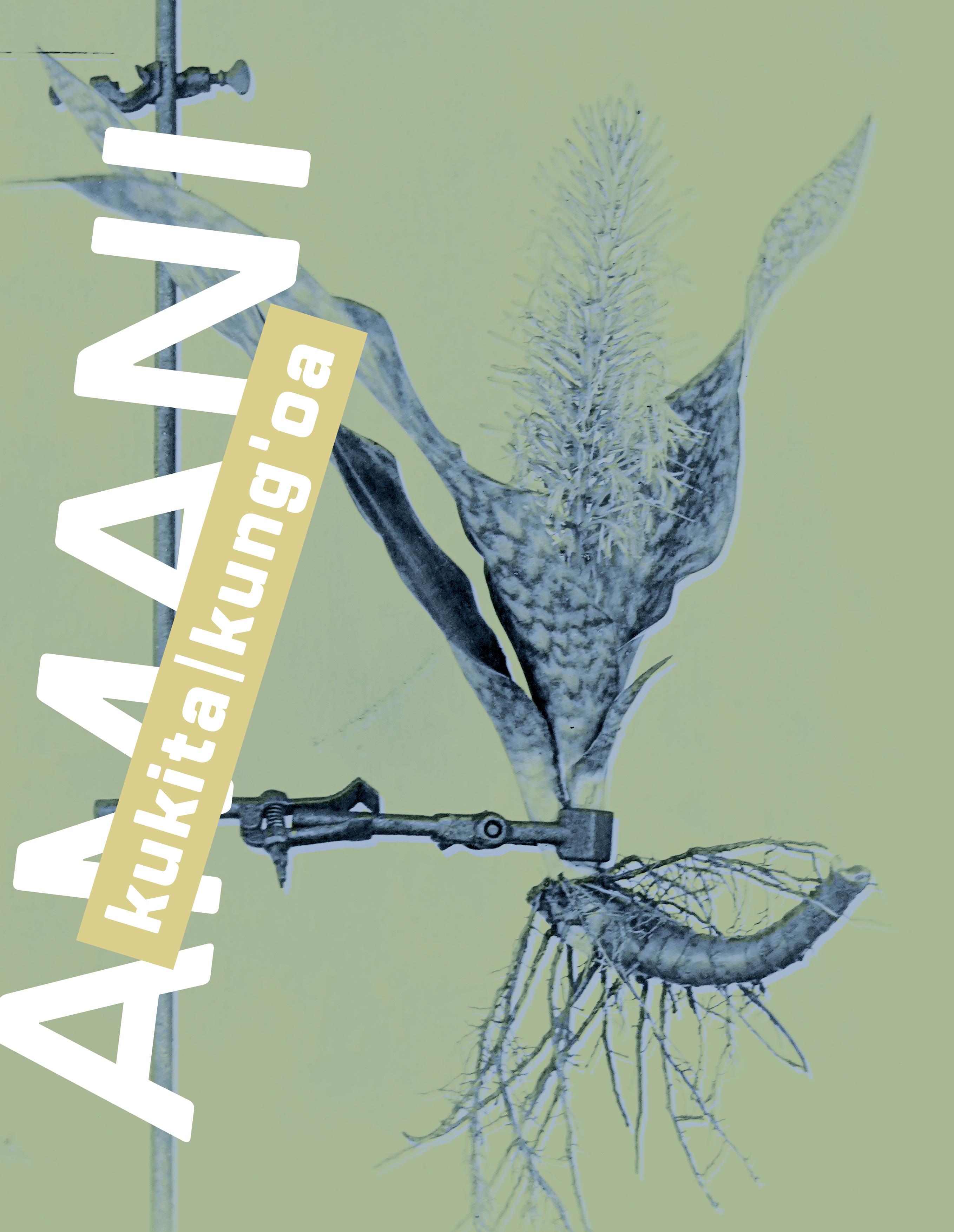 Vorderes Coverbild Amani