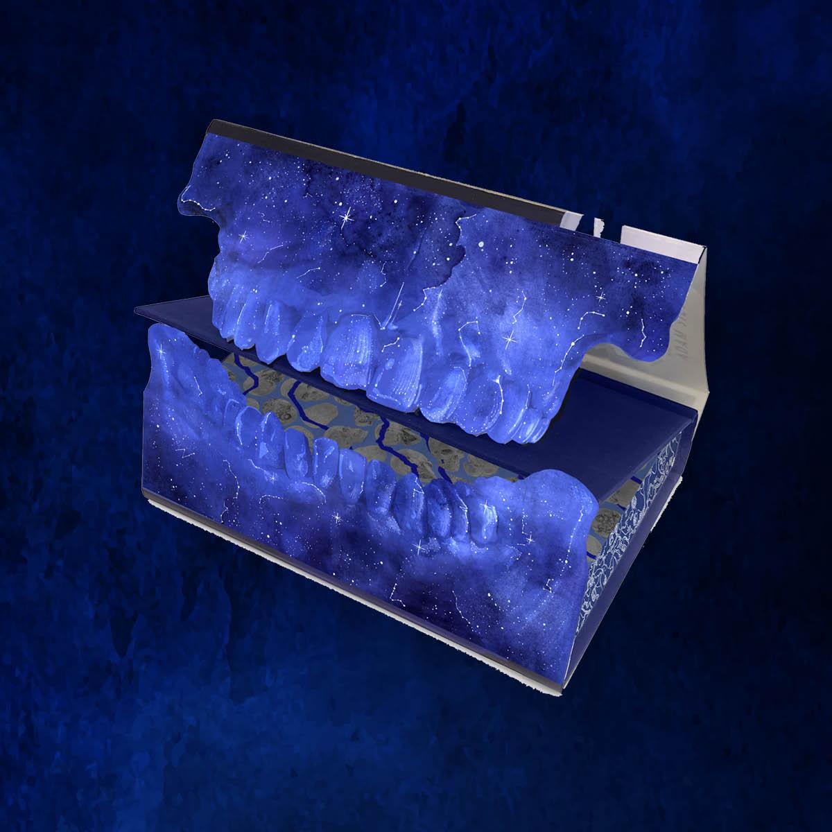 Beispielinhalt (Bild) They Both Die at the End Collector's Deluxe Limited Edition