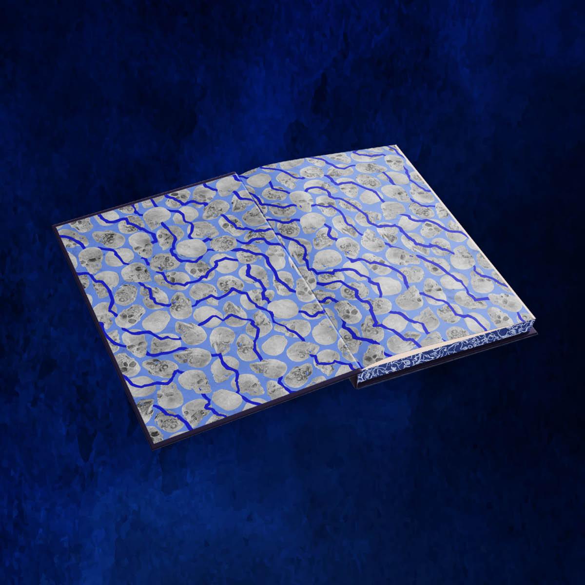 Beispielinhalt (Bild) They Both Die at the End Collector's Deluxe Limited Edition