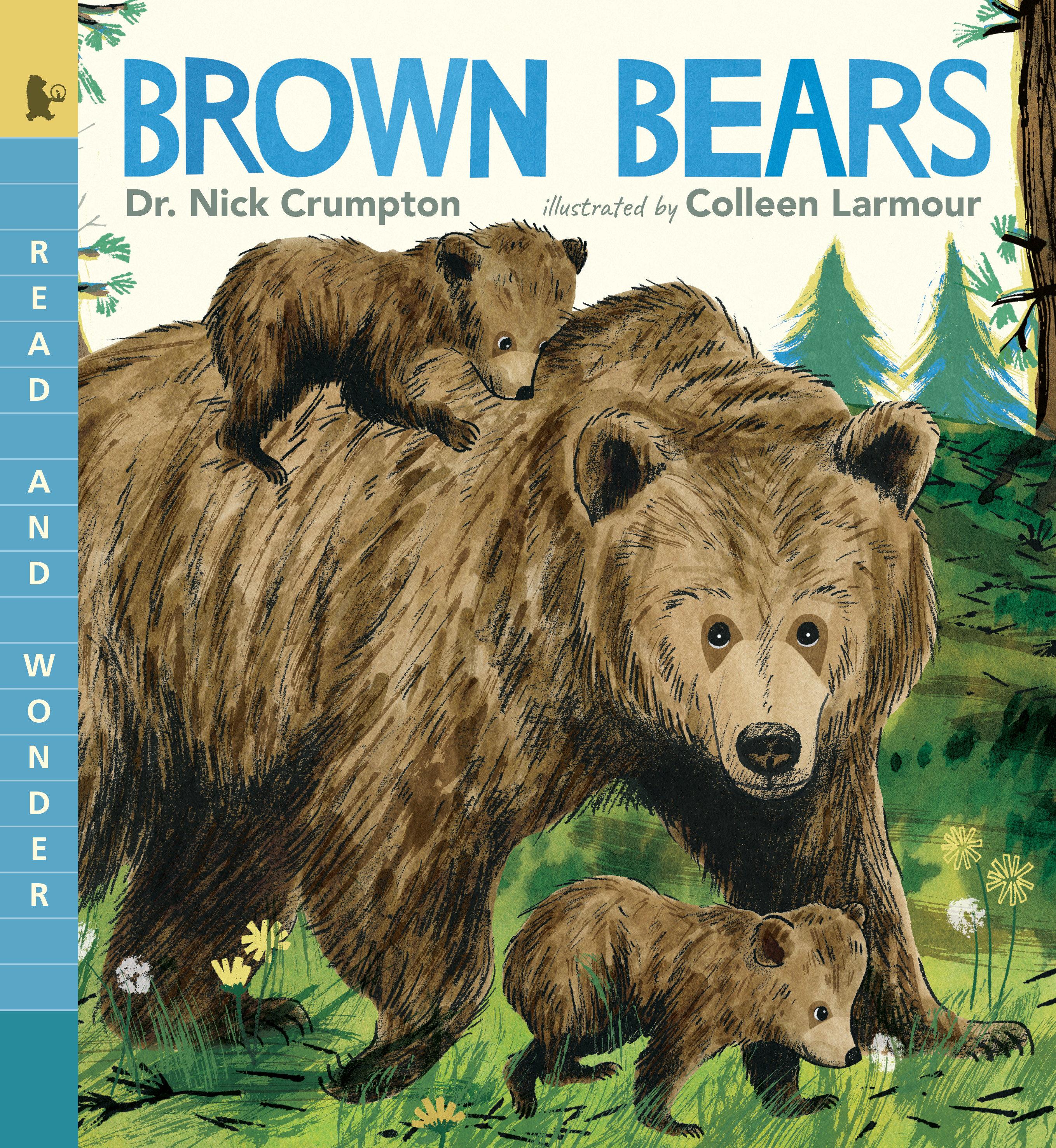Vorderes Coverbild Brown Bears