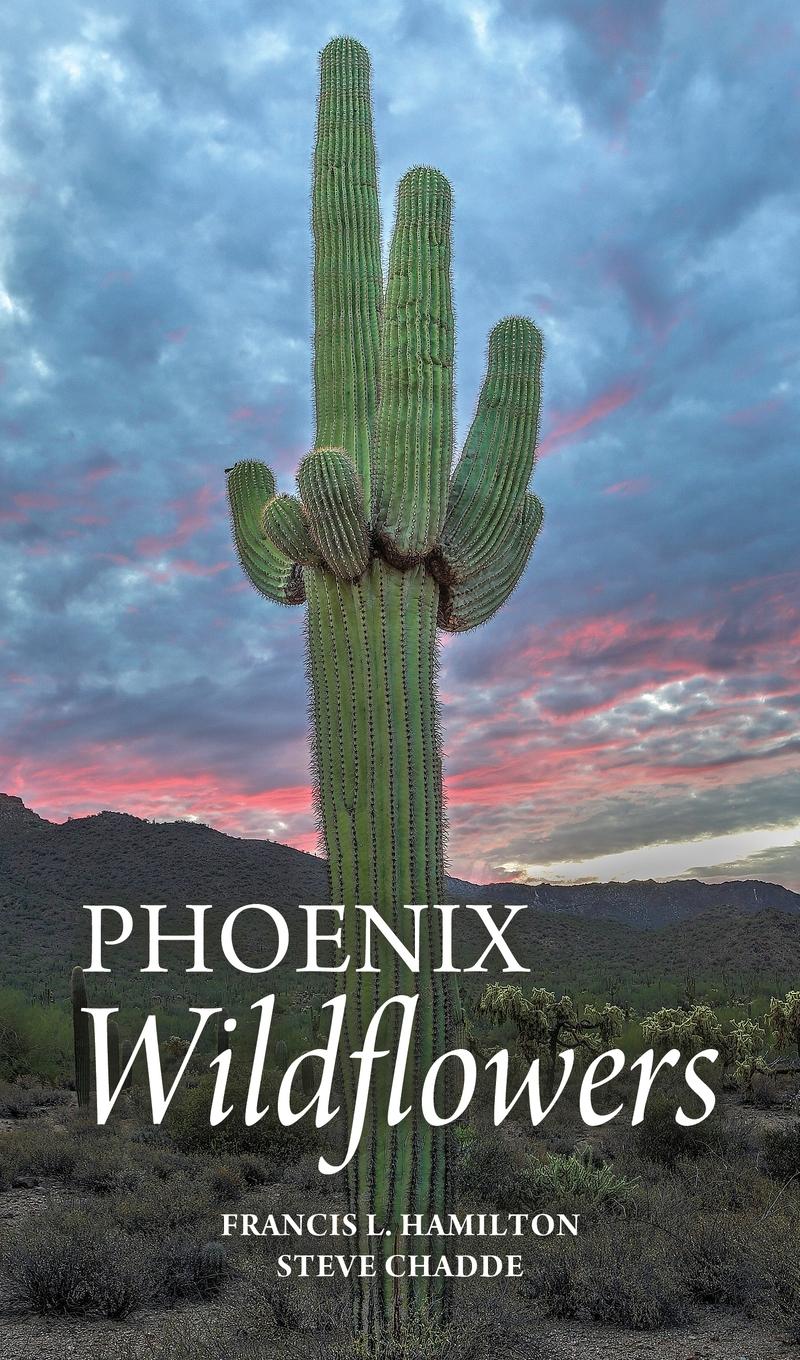 Vorderes Coverbild Phoenix Wildflowers