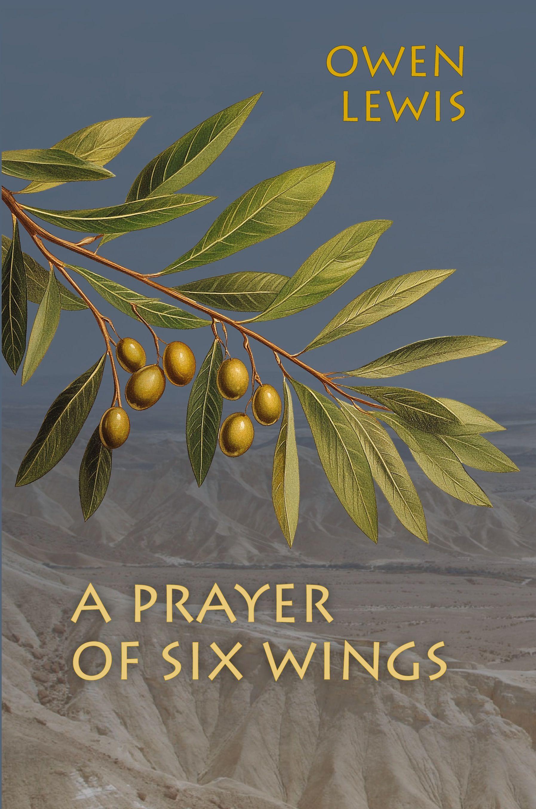 Vorderes Coverbild A Prayer of Six Wings