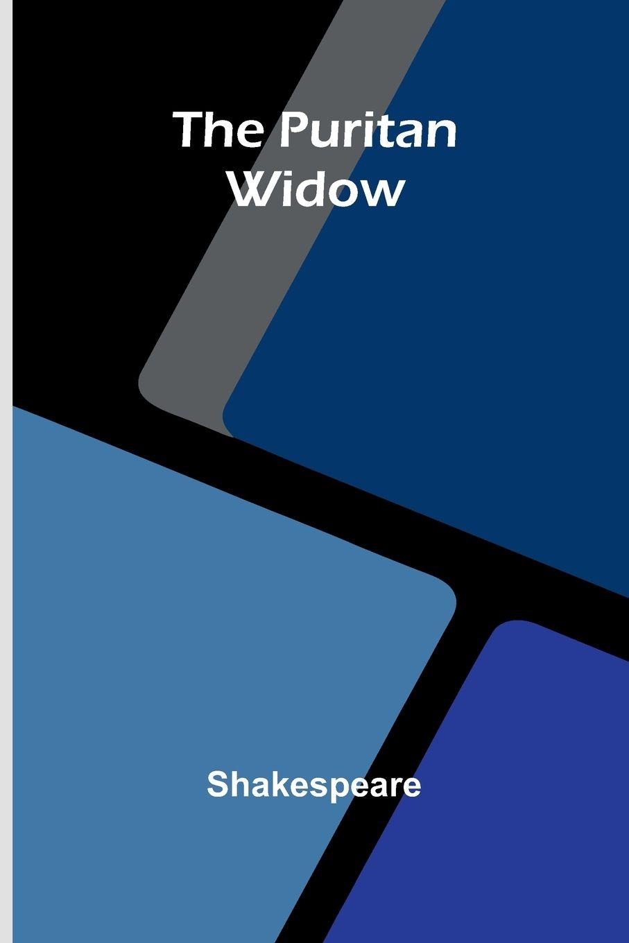 Vorderes Coverbild The Puritan Widow