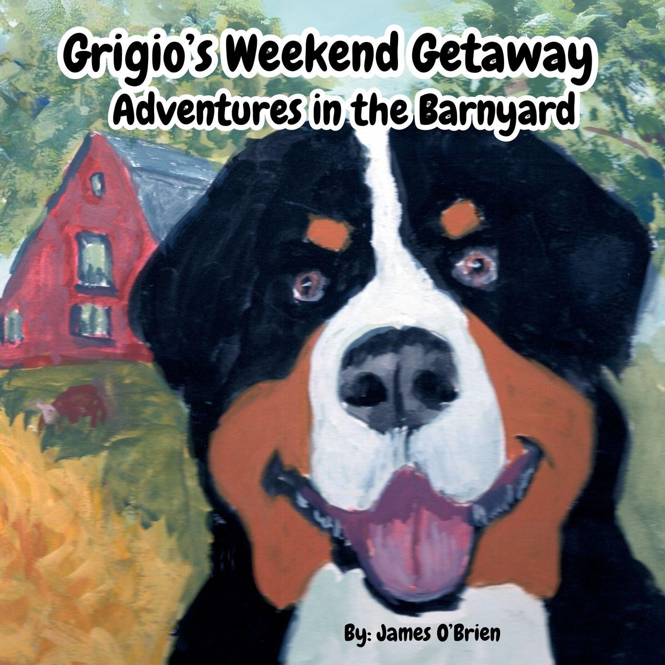 Vorderes Coverbild Grigio's Weekend Getaway