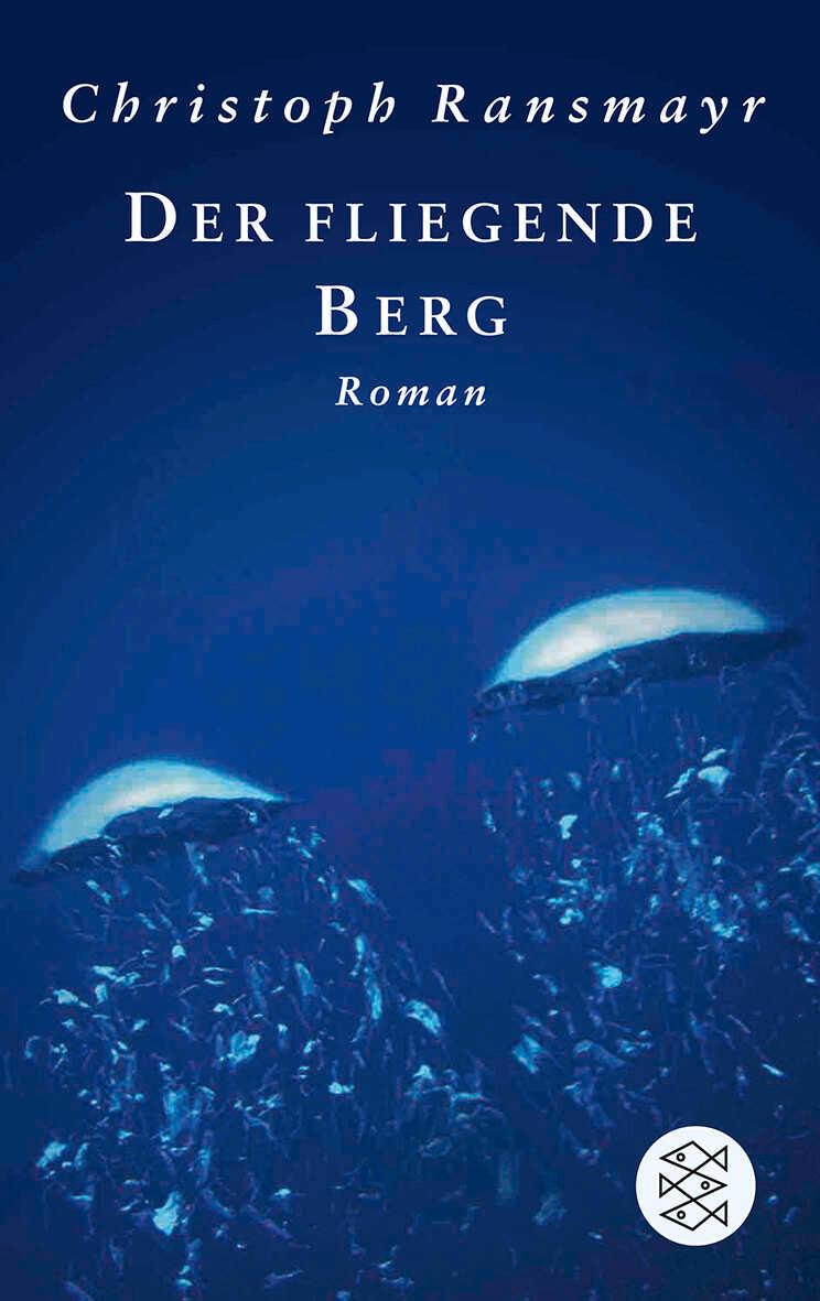 Vorderes Coverbild Der fliegende Berg