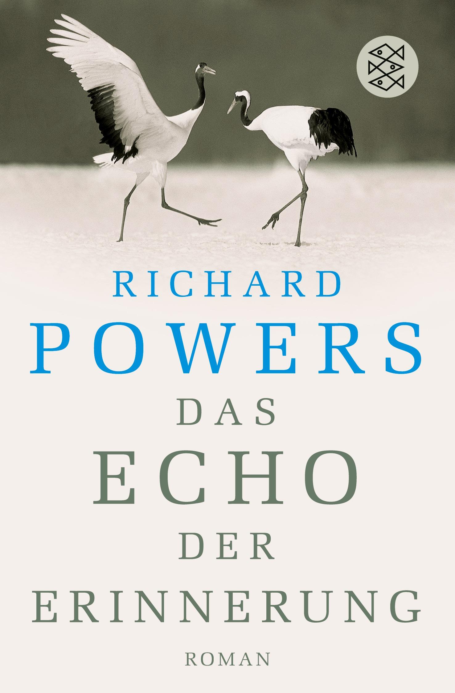 Vorderes Coverbild Das Echo der Erinnerung