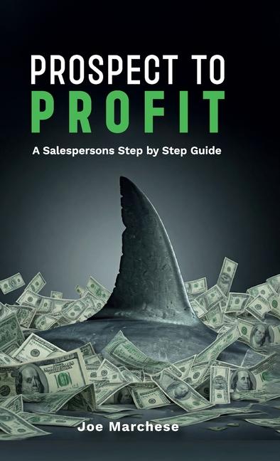 Vorderes Coverbild Prospect to Profit, A salespersons step by step guide