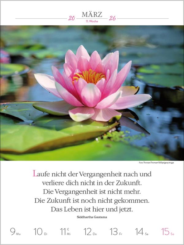 Beispielinhalt (Bild) Buddhistische Weisheiten 2026