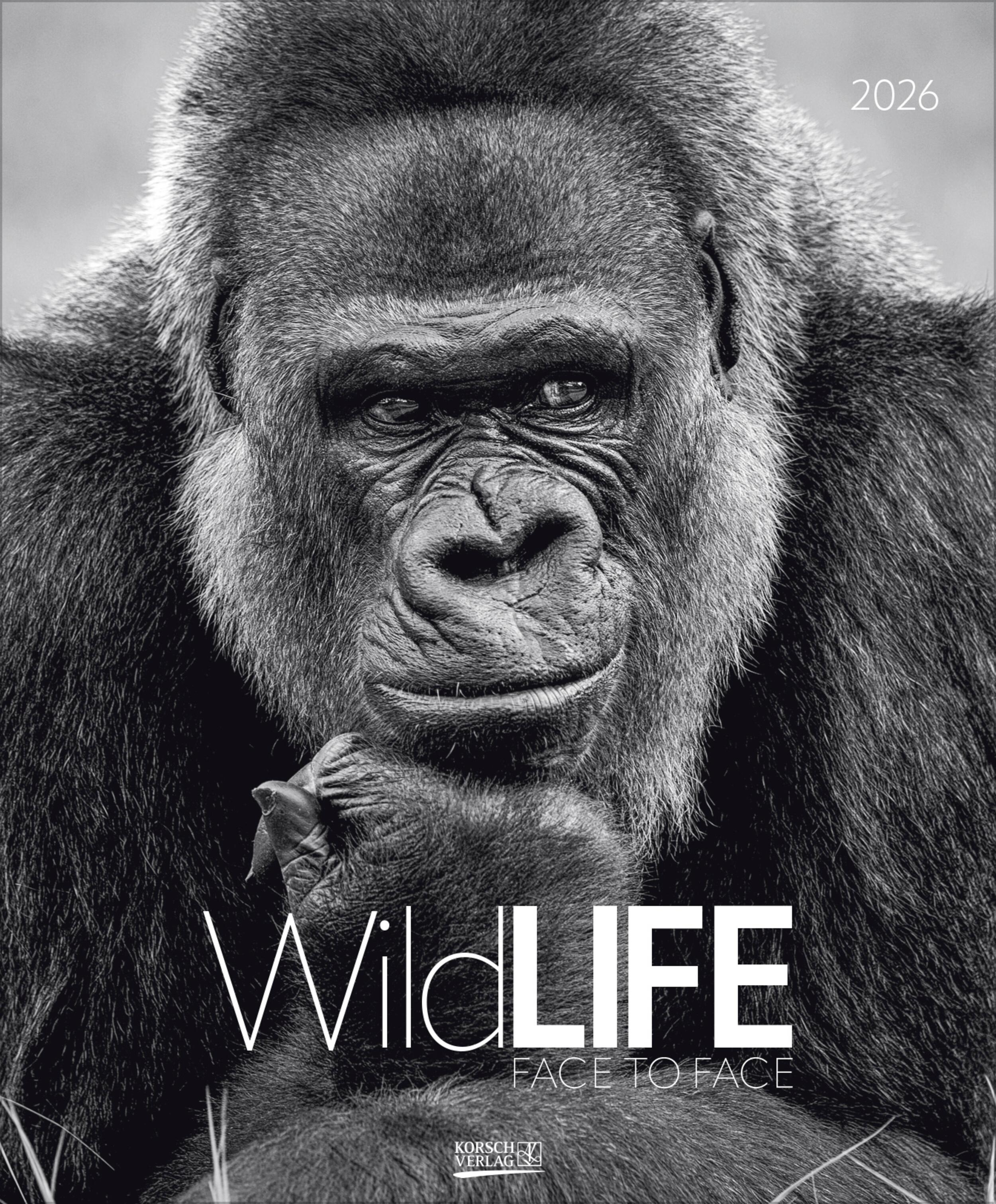 Vorderes Coverbild WildLife 2026