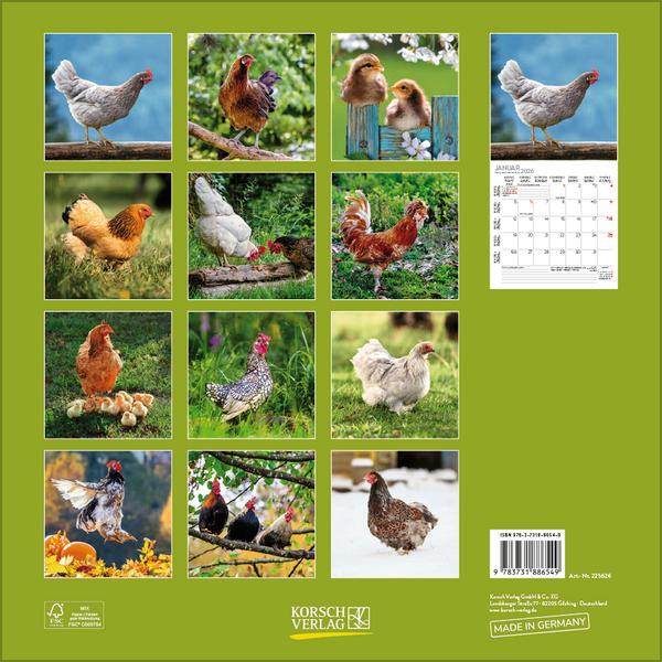 Beispielinhalt (Bild) Hühner 2026