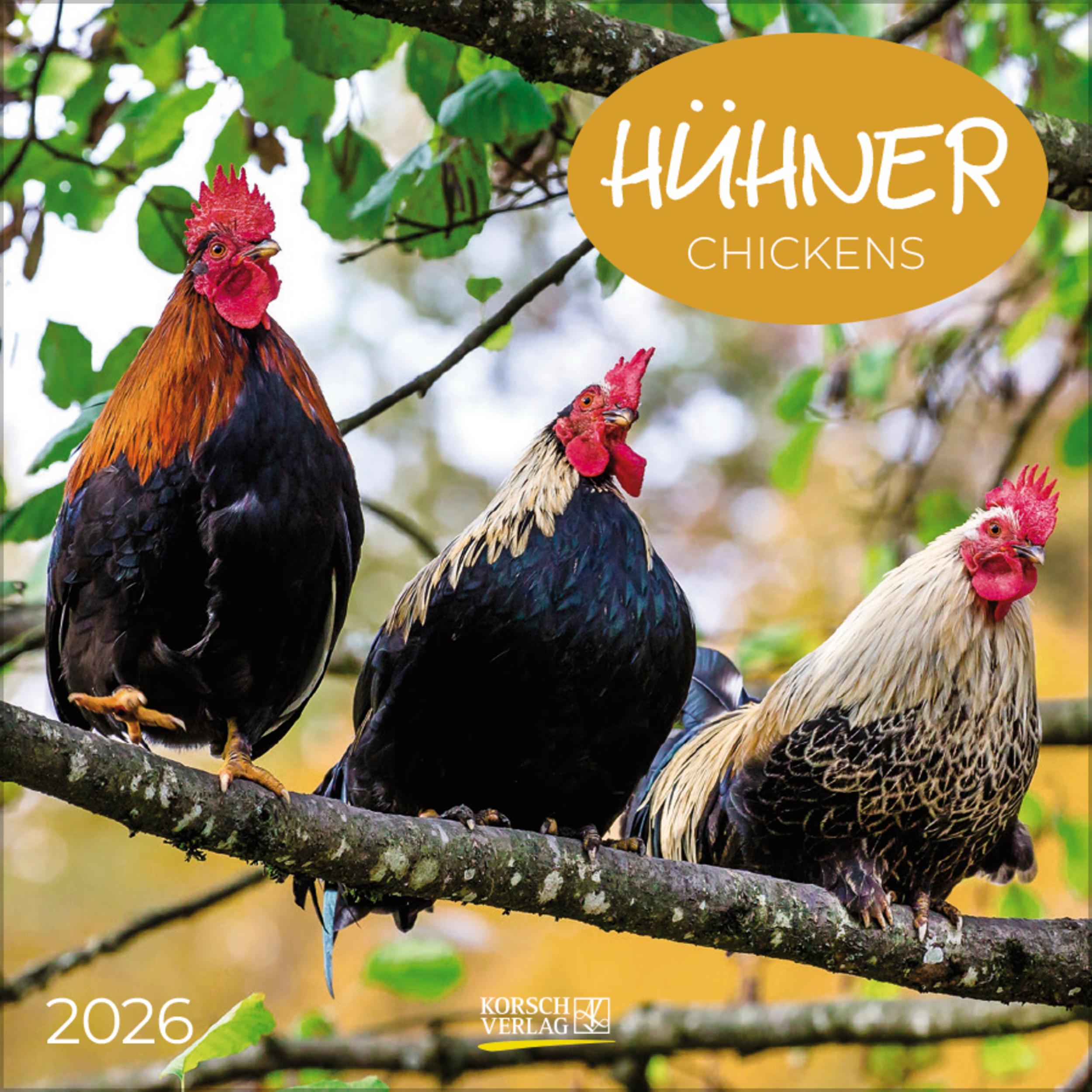 Vorderes Coverbild Hühner 2026