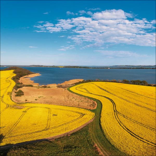 Beispielinhalt (Bild) Meerblicke - Nord- und Ostsee 2026