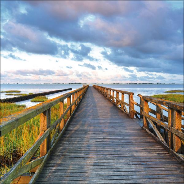 Beispielinhalt (Bild) Meerblicke - Nord- und Ostsee 2026