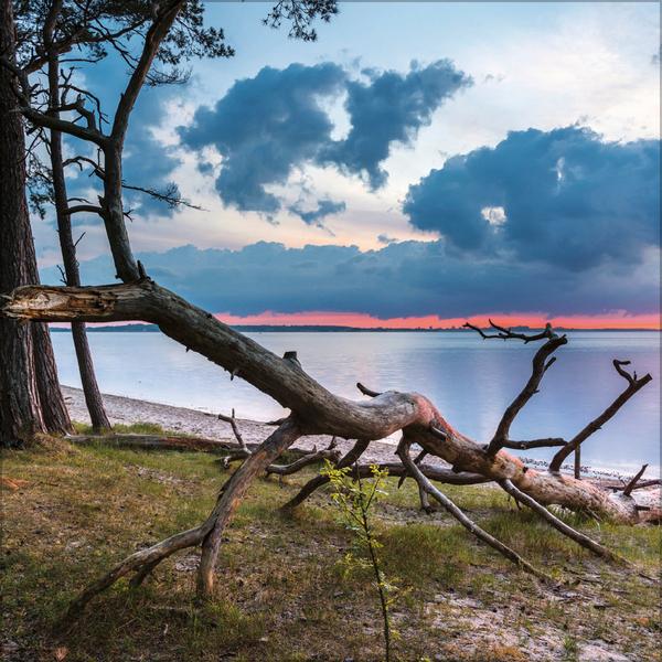 Beispielinhalt (Bild) Meerblicke - Nord- und Ostsee 2026