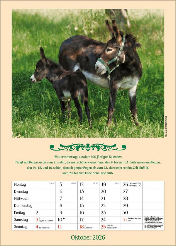Beispielinhalt (Bild) Landleben mit Hundertjährigem Kalender 2026