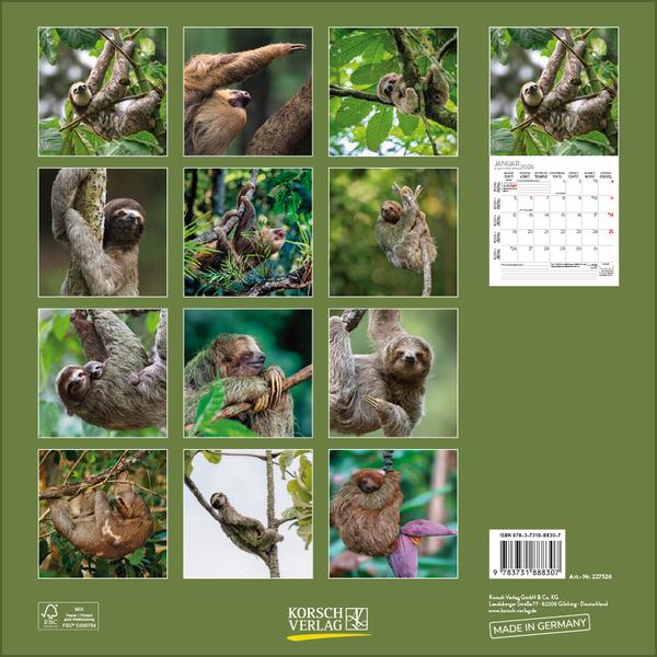 Beispielinhalt (Bild) Faultier 2026