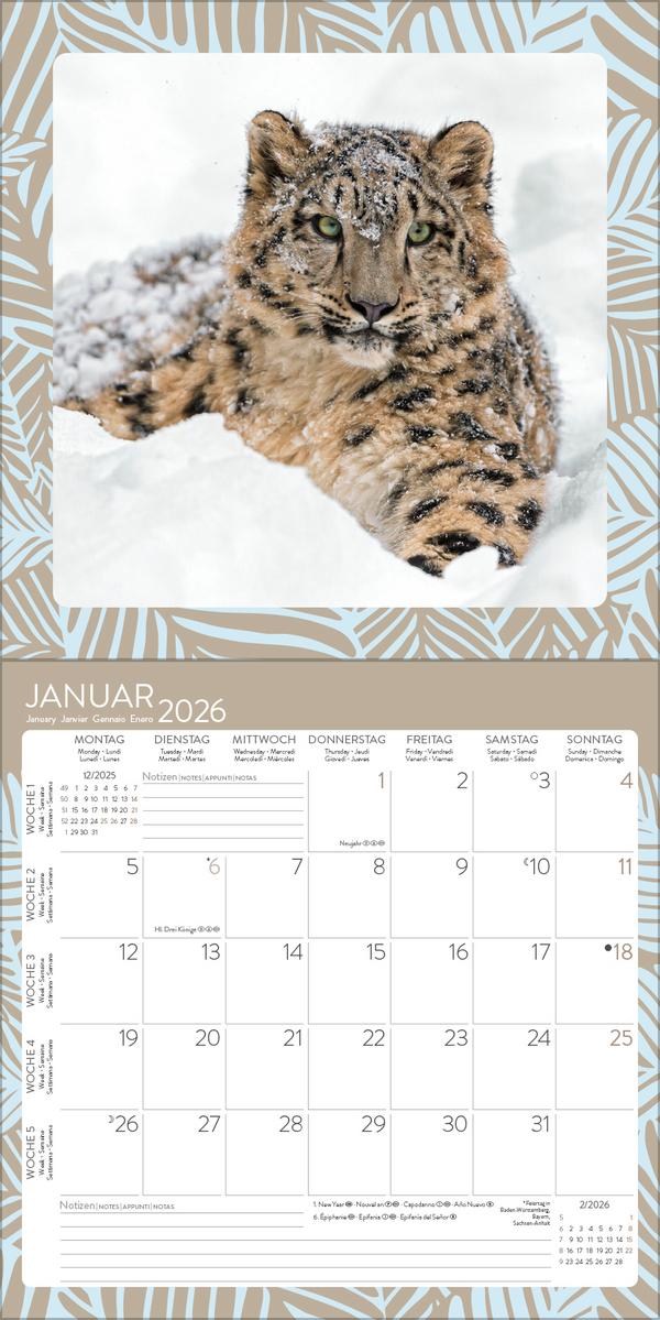 Beispielinhalt (Bild) Achtung wild - Tiere aus aller Welt 2026