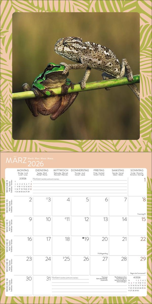 Beispielinhalt (Bild) Achtung wild - Tiere aus aller Welt 2026