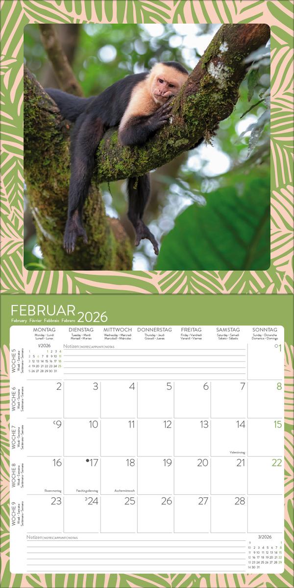 Beispielinhalt (Bild) Achtung wild - Tiere aus aller Welt 2026