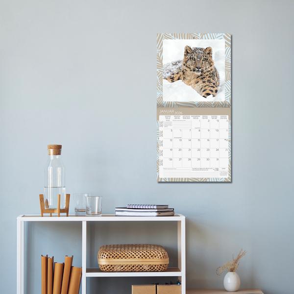 Beispielinhalt (Bild) Achtung wild - Tiere aus aller Welt 2026