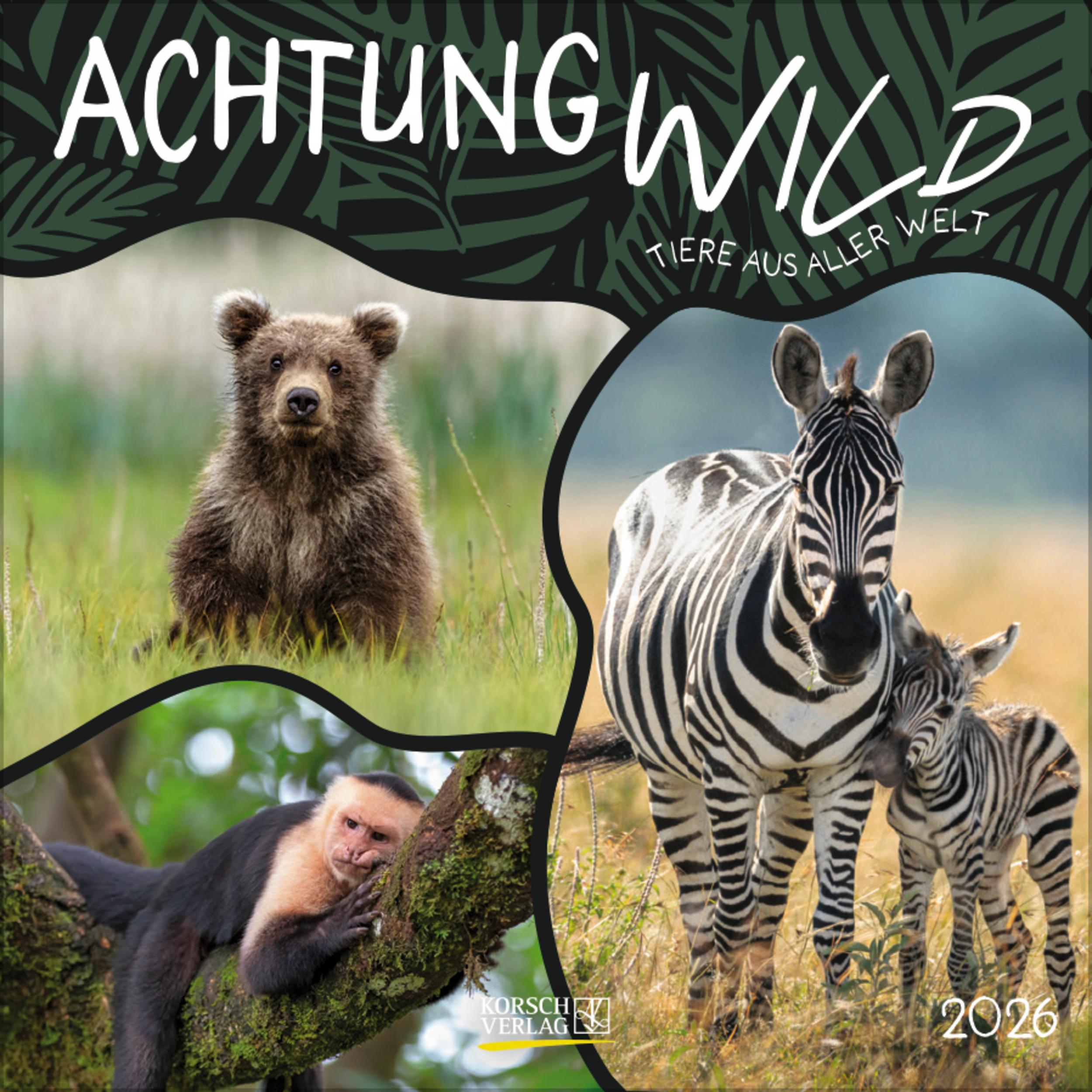 Vorderes Coverbild Achtung wild - Tiere aus aller Welt 2026