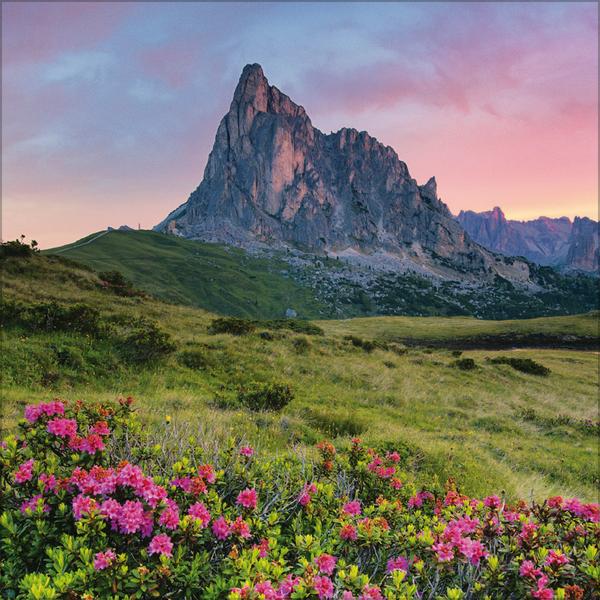 Beispielinhalt (Bild) Alpen 2026