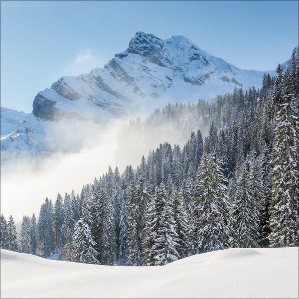 Beispielinhalt (Bild) Alpen 2026