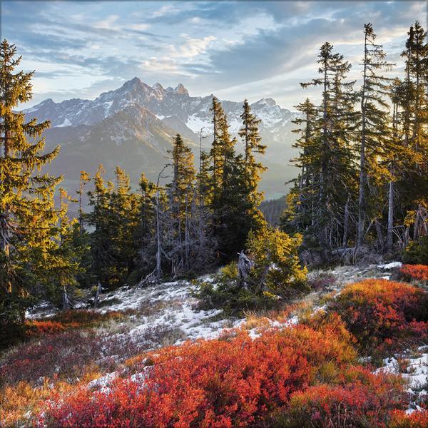 Beispielinhalt (Bild) Alpen 2026