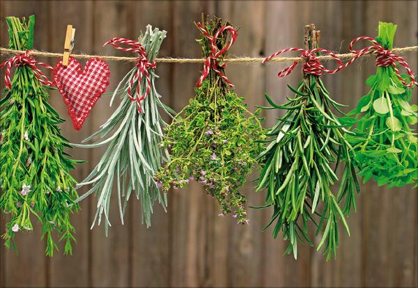 Beispielinhalt (Bild) Kräuter und Gewürze 2026