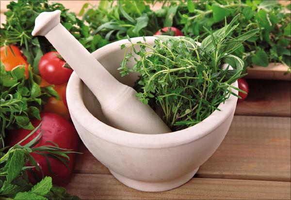 Beispielinhalt (Bild) Kräuter und Gewürze 2026