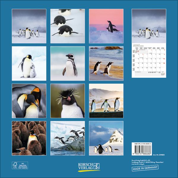 Beispielinhalt (Bild) Pinguine 2026