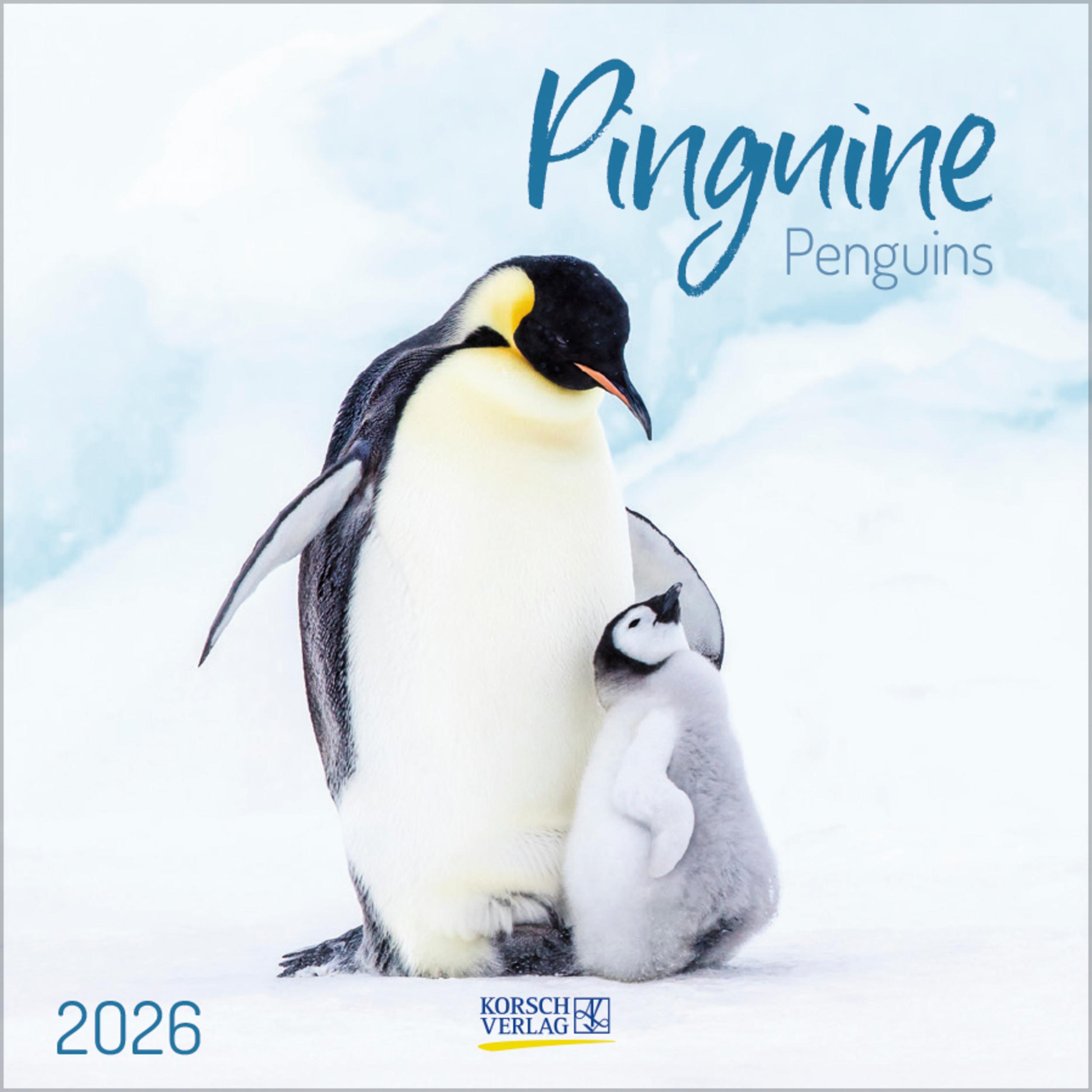 Vorderes Coverbild Pinguine 2026