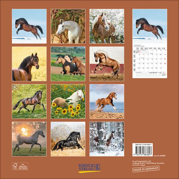 Beispielinhalt (Bild) Horses 2026