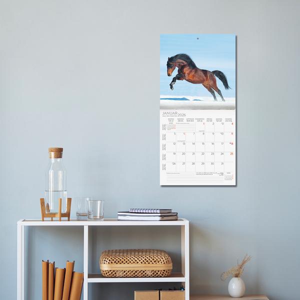 Beispielinhalt (Bild) Horses 2026