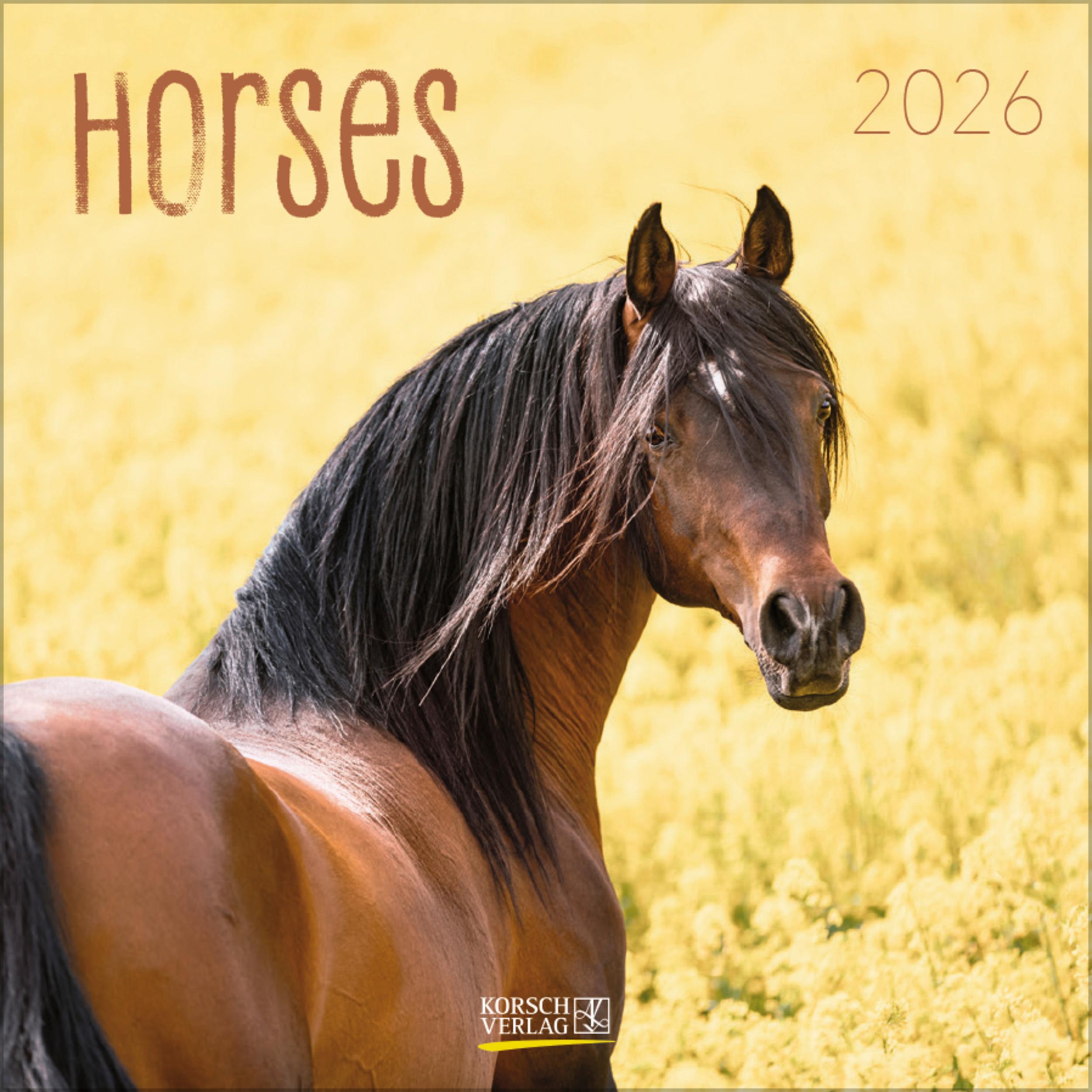 Vorderes Coverbild Horses 2026