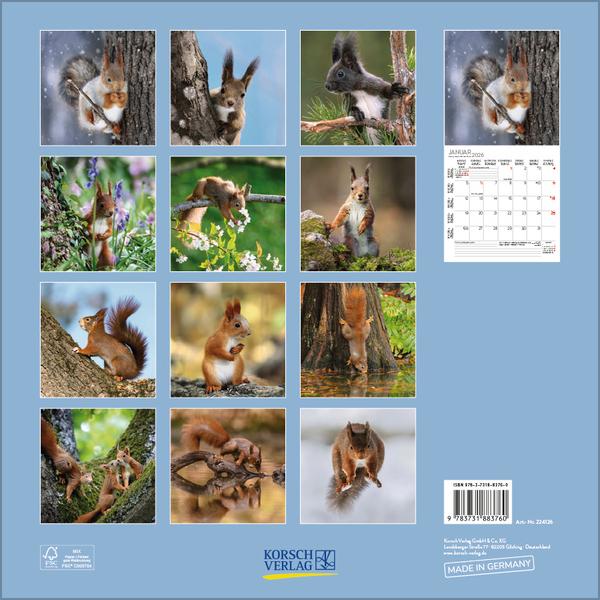 Beispielinhalt (Bild) Eichhörnchen 2026