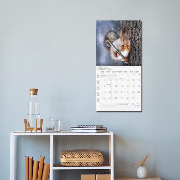 Beispielinhalt (Bild) Eichhörnchen 2026