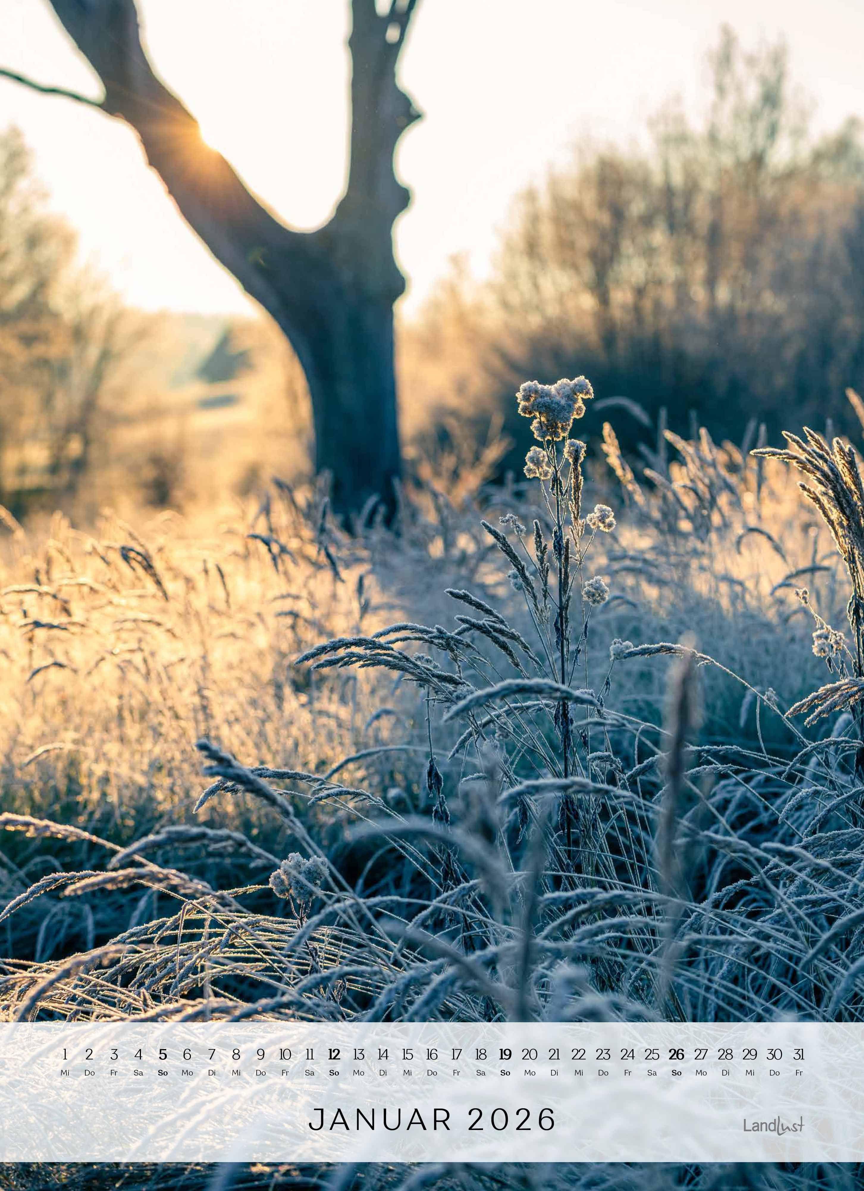 Beispielinhalt (Bild) Landlust: Jahreskalender 2026 Wand-Kalender - Poster-Kalender - Fotografie - Gartenkalender 45x62
