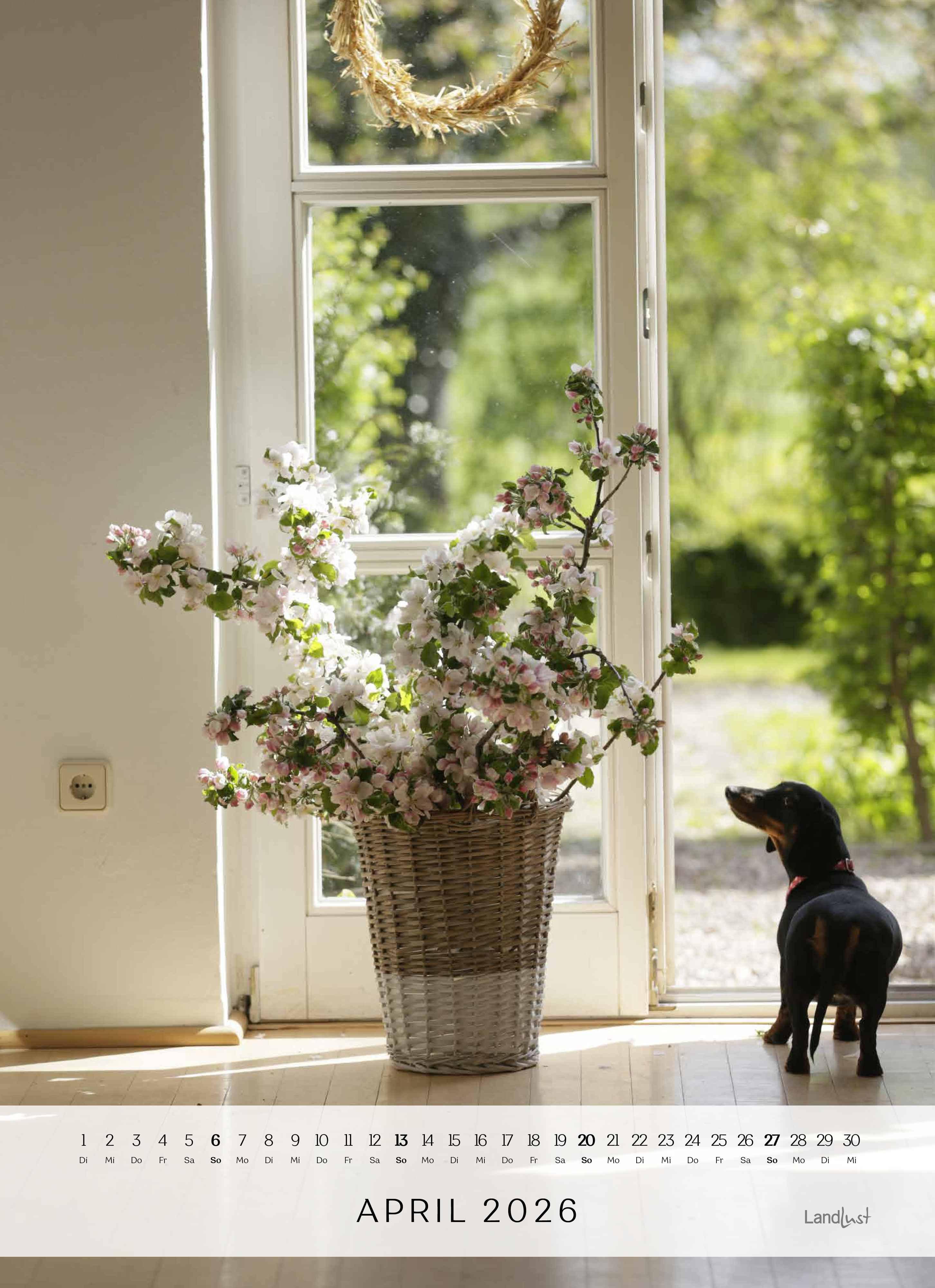 Beispielinhalt (Bild) Landlust: Jahreskalender 2026 Wand-Kalender - Poster-Kalender - Fotografie - Gartenkalender 45x62