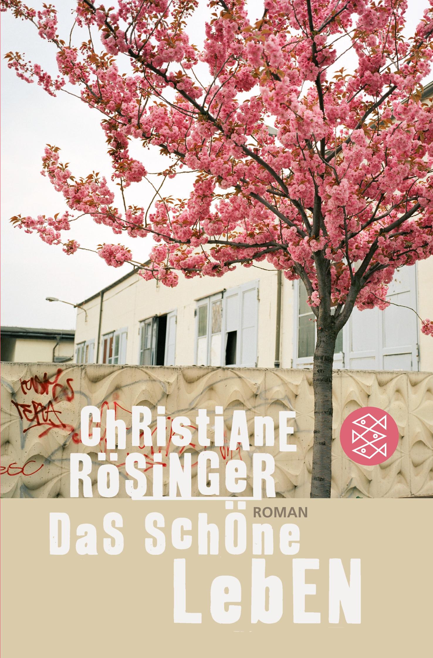 Vorderes Coverbild Das schöne Leben