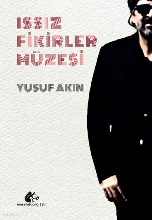Vorderes Coverbild Issiz Fikirler Müzesi