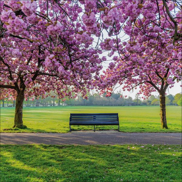 Beispielinhalt (Bild) Augenblicke der Stille 2026