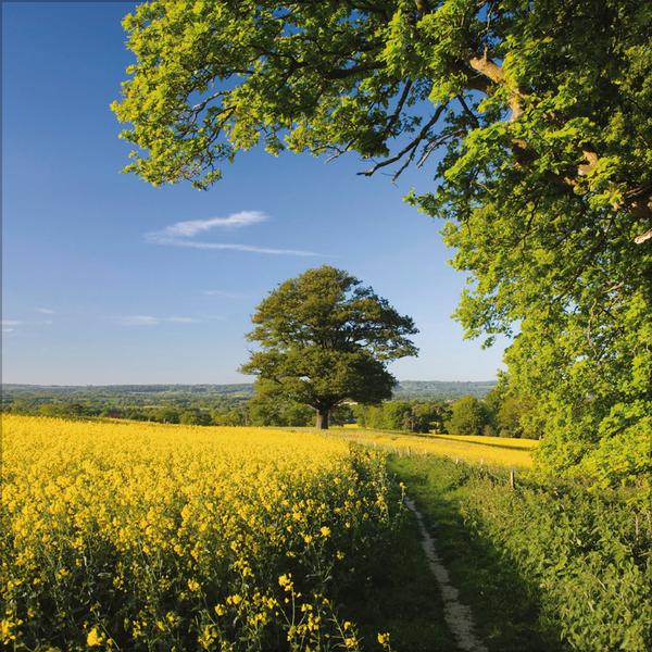 Beispielinhalt (Bild) Augenblicke der Stille 2026