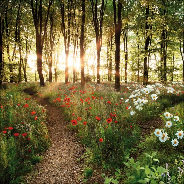 Beispielinhalt (Bild) Augenblicke der Stille 2026