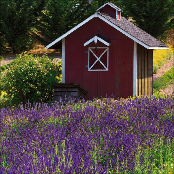 Beispielinhalt (Bild) Augenblicke der Stille 2026