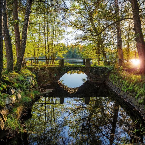 Beispielinhalt (Bild) Augenblicke der Stille 2026