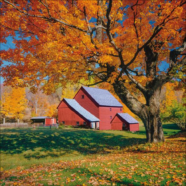 Beispielinhalt (Bild) Augenblicke der Stille 2026