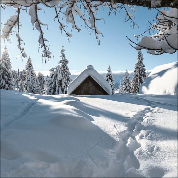 Beispielinhalt (Bild) Augenblicke der Stille 2026