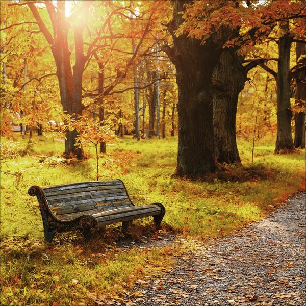 Beispielinhalt (Bild) Augenblicke der Stille 2026