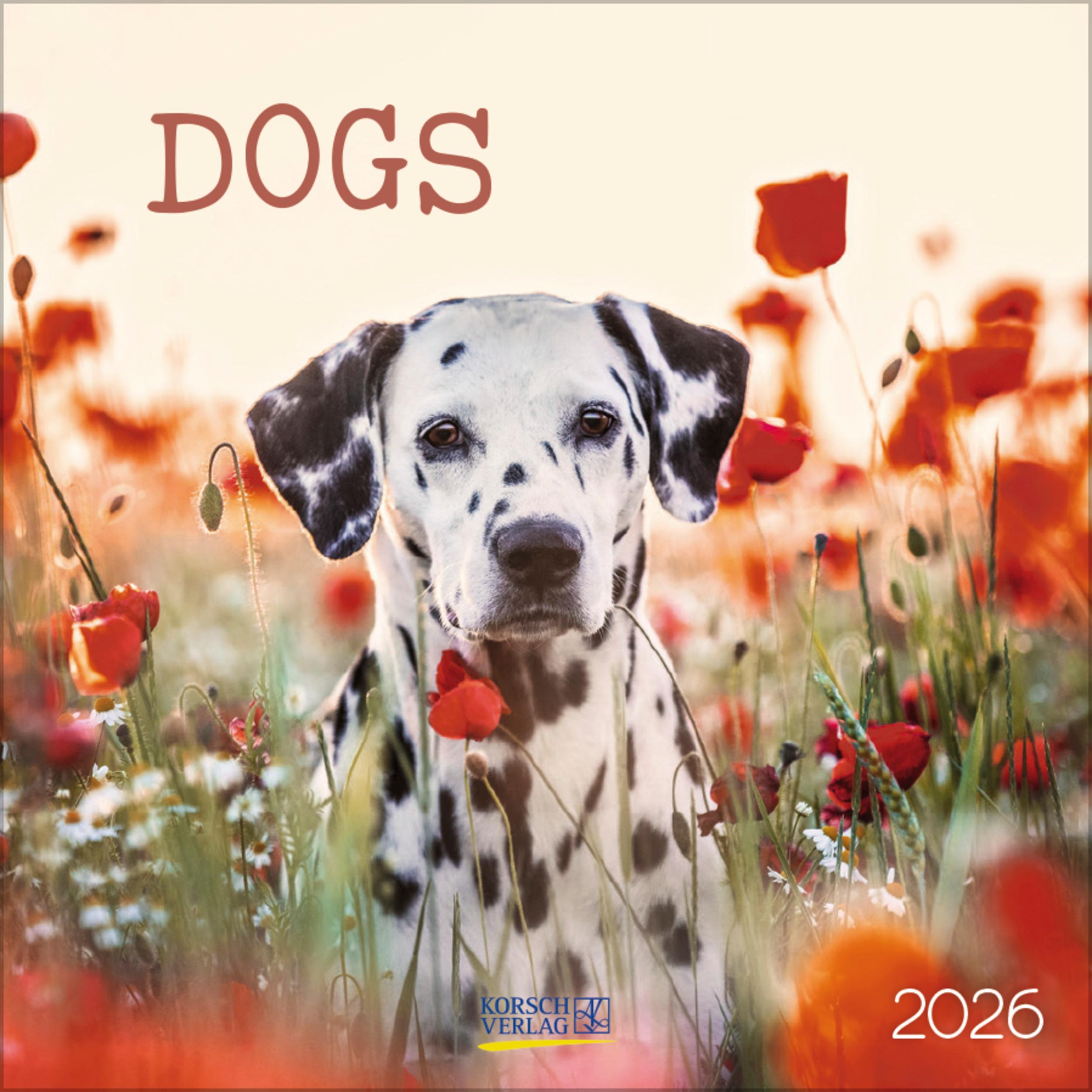 Vorderes Coverbild Dogs 2026